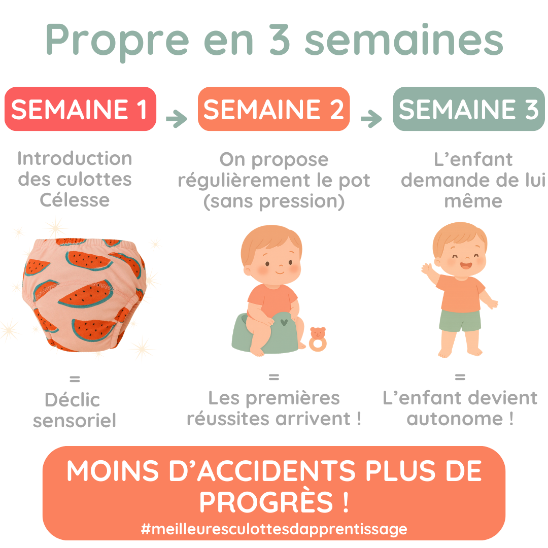 Culotte d'apprentissage de la propreté