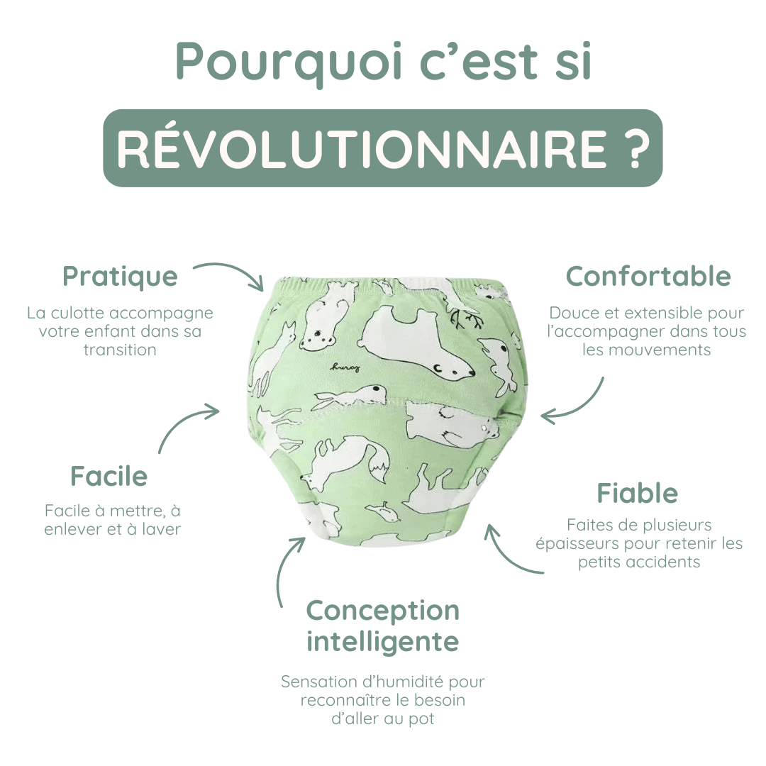 Culotte d'apprentissage de la propreté