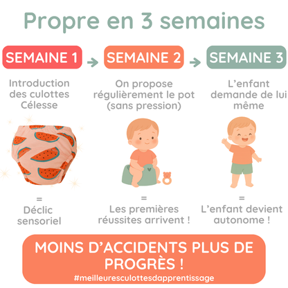 Culotte d'apprentissage de la propreté