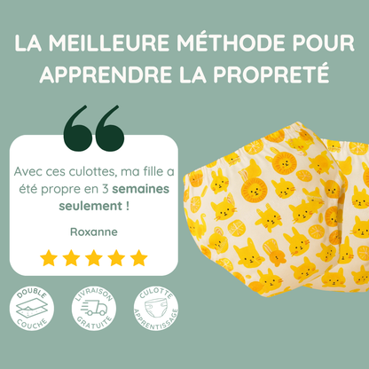 Culotte d'apprentissage de la propreté